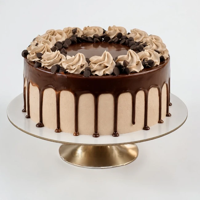 Chocolate Chips Cake