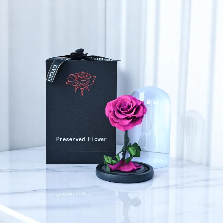 Purple Forever Rose