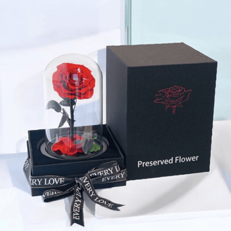 Red Forever Rose