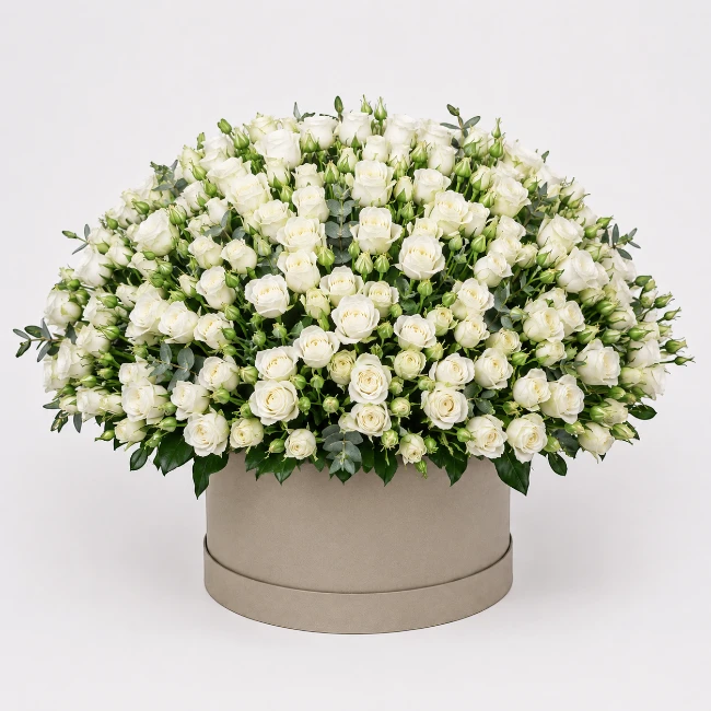 White Baby Roses Box