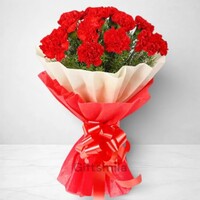 15 Red Carnation Bouquet