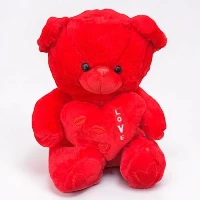 Love Red Teddy Bear