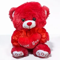 Teddy Red 25